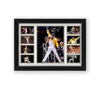 AllStarMedia Tribute Too Freddie Mercury Signed Poster Print - Limited Edition Autograph Fan Gift - Collectible Memorabilia Merchandise (Framed A4 (30x21cm))