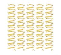 Allthingstore Black Sawtooth Picture Hangers Complete Set of 50 Hooks and 100 Screws for Strong Wall Displays (Gold )