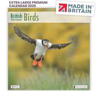 ALLTRADE Calendar 2026 British Birds Wall Calendar 61x30.5cm by Laurie Campbell - Large Premium FSC® Paper, UK Holidays, Supports Woodland Trust Carbon Capture Great Gift