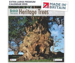 ALLTRADE Calendar 2026 British Heritage Trees 2026 Calendar UK Holidays MADE IN BRITAIN® with 100% Solar Energy on FSC® Paper Eco-Friendly Photos by ARCHIE MILES Supports Woodland Trust Tree Planting
