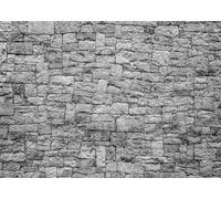 Alltten 7X5FT Stone Wall Backdrop Stone Backdrop Castle Wall Backdrop Dungeon Wall Backdrop Halloween Brick Wall Scene Setters Decoration F246