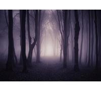 Alltten 8X6FT Misty Spooky Forest Halloween Backdrop for Photography Mystery Scary Woods Cemetary Photo Backdrop Wizard Sorcerer Ghost Themed Party Banner Decors Photo Props F83