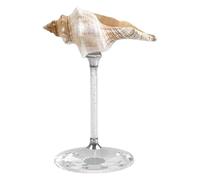 AlluraPet Conch Shell Wine Glass 6.30 Inch Ocean Theme Stemware for Cocktails Parties Weddings Anniversaries Engagements- Conch Silver Base