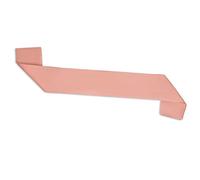 ALLY-MAGIC Plain Hen Night Party Sashes, Blank Satin Sash DIY Plain Pageant Sash Unprinted Sash for Homecoming Pageants Parades Bachelor Wedding Birthday Party Y3KBJD (rose gold)