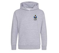Ally McCoist World Cup Sticker Kids Hoodie - Gray / 7-8 years