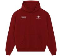 Ally Pally Logo Men's Hoodie - Red / 3XL