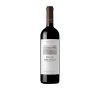Alma Carraovejas Pago de Carraovejas Tinto, Bold & Elegant Ribera del Duero Red Wine, Tempranillo Blend from Spain (Case of 6x75cl)