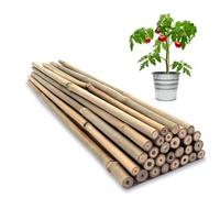 Almineez 20 x Natural Bamboo Plant Support Sticks 90cm / 3FT Plant Stakes Split Canes in Beige Almineez Beige