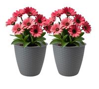 Almineez Set of 2 Rattan Plant Flower Pot Indoor & Outdoor Plastic Plant Pots With Drainage Holes Lightweight Easy To Move Plant Pots Garden Decoration Herb Orchid Planting Pot (Grey)