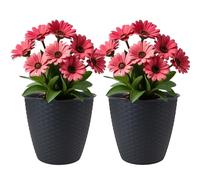 Almineez Set of 2 Rattan Plant Flower Pot Indoor & Outdoor Plastic Plant Pots With Drainage Holes Lightweight Easy To Move Plant Pots Garden Decoration Herb Orchid Planting Pot (Dark Grey)