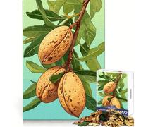 Almond Tree Branch with Ripe Almonds 1000 Teenager Pieces Jigsaw Puzzle Brain Development Unwind Easily Clean Join Warm Xmas Gift (50x75cm)