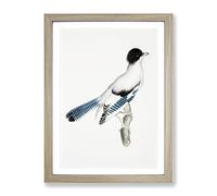 Almorah Jay By John Edward Gray Vintage Framed Wall Art Print, Ready to Hang Picture for Living Room Bedroom Home Office Décor, Oak A4 (34 x 25 cm)