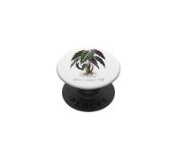 Alocasia Polly plant illustration PopSockets Adhesive PopGrip