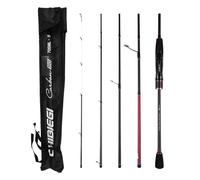Alomejor Compact 5 Sections Fishing Pole Ultralight Spinning Rod, Travel Fishing Rod with EVA Handle for Anglers on The Go (#2)