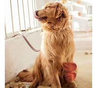 Alomejor Dog Cat Leg Brace Protector Elastic Knee Pads for Recovery Warm Winter Toes S/M/L Dogs for Pet Joint Support Black 2pcs (M)