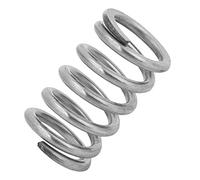 Alomejor Electric Guitar Tremolo Bridge Spring Strong Elasticity Improve Out of Tune for Bigsby Series Electric Guitar Silver 1.22in (Silver)