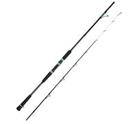 Alomejor Fishing Rod, Deep Sea Offshore General Carbon Fishing Rod Luminous Spinning Rod for Outdoors (2.1M)