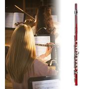 Alomejor Flute Beginner Flute Brass C Key 16 Holes with Cleaning Kit and Case Smooth Key Action Accurate Pitch for Kids Students Practice and School Band (Red)