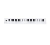 Alomejor Foldable piano, portable design digital keyboard 61 full size keys with recording function for beginners home practice music lessons travel studio use