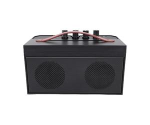 Alomejor Guitar Amp, Portable ABS 30W Electric Acoustic Amplifier with Reverb Distortion for Practice and Performances