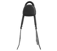 Alomejor Motorcycle Rear Passenger Sissy Bar, Aluminum Backrest Rack with Soft Sponge Cushion, Quick Installation, Passenger Support and Extra Room, for XV XVS 950 R Spec 2014