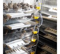 Alomejor Quail Waterer Feeder Drinking Bowl Durable Farming Tool for Quail Pigeons 12pcs Yellow 4.6in X 1.7in Easy Installation
