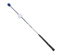 Alomejor Realistic Swing and Living Grip for Better Swing Rhythm Control, Ideal for Strength Rhythm Training, EVA/TPE/fiber Optic, Suitable for Internal Practice