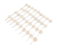 Alomejor Wooden Succulent Tags 36pcs, Eco-Friendly Hexagonal Labels | engraved, Durable wood material, Perfect for garden, Attractive plant markers