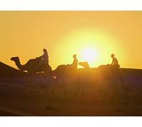 Along the Incense Route