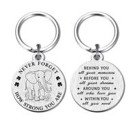 Alotozo Elephant Gifts for Women Men - Inspirational Elephant Keyring Small Encouragement Gifts - Uplifting Graduation Birthday Gift Elephants Key Chains