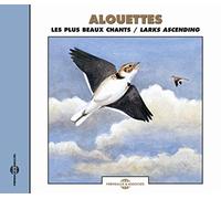 Alouettes - Les Plus Beaux Chants - Larks Ascending