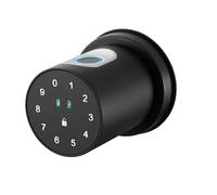 AloveH Smart Fingerprint Lock, Keyless Entry with Keypad & Biometric Code, Tuya App Compatible (Black)