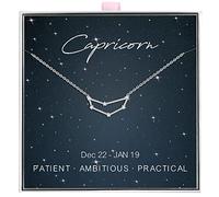 ALoveSoul 925 Sterling Silver Constellation Horoscope Zodiac Capricorn Necklace, Gift for Women Girls