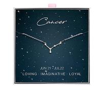 ALoveSoul 925 Sterling Silver Constellation Horoscope Zodiac Necklace, Gift for Women Girls