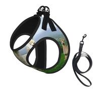 Alpaca Family Print Adjustable Harness Leash Set For Cats And Dogs, Soft Breathable Kitten Puppy Mesh Vest With Reflective Design, Escape-Proof Lead For Small Pets Walking Training