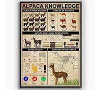 Alpaca Knowledge Metal Tin Signs Alpaca Infographic Posters Animal Encyclopedia Printing Plaques Home Room Children Education Wall Decor 12x16 Inches