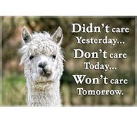 Alpaca/Llama Funny Fridge Magnet - Happy Birthday Gift for Your Slightly Weird Friend