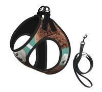 Alpaca Llama printing Puppy Harness, Dog Harness and Leash Set, Soft Mesh Reflective Breathable Lightweight Vest-Style