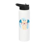 Alpaca or Llama in a Retro Look with Cool Sunglasses Stainless Steel Insulated Water Bottle