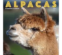 Alpacas 2025 Wall