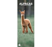 Alpacas 2026 Wall Calendar, 12-Month Slim Format, Made in England