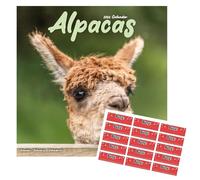 Alpacas Calendar 2026 | Square Wall Calendar | 16 Month | With Free Organisational Stickers, Alpacas Gift