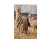 Alpacas in the Peruvian Andes，Paper Puzzle, 1000 Pieces Customized Jigsaw Puzzles Toys, Adults Teenagers Kids Cartoon Puzzle Games（38x26cm）-AR21
