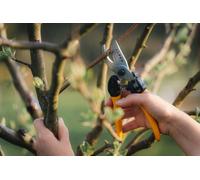 Alpen Gelbhorn 150 One Hand Pruning Secateurs Swiss Precison Chromed Japanese Steel Bypass Blade 20mm Cut Corrosion Resistant Easy Operated Thumb Catch Drop Forged Alloy Pruning Forestry Vineyard