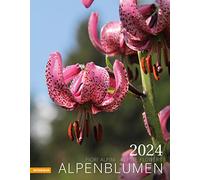 Alpenblumen Calendar 2024: Fiori alpini - Alpine Flowers