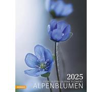 Alpenblumen Kalender 2025: Fiori alpini - Alpine flowers
