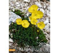 Alpenblumen Kalender 2026: Fiori alpini - Alpine flowers