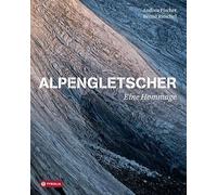 Alpengletscher: Eine Hommage