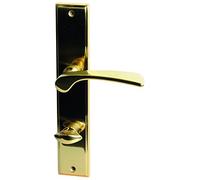 Alpertec 32214413 Nelson-LS Polished Brass for Bathroom Toilet Set Handle Door Fittings, für Badezimmertüren