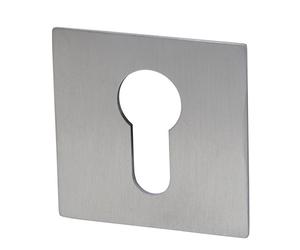 ALPERTEC Flat Escutcheon Pair Stainless Steel Colour for Front Doors 32458125 K1 PZ Door Handle Set Door Fittings Door Handle